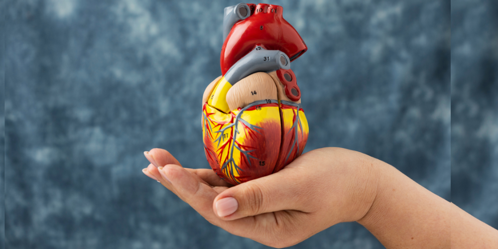 Scientists Discover Enzyme ‘Off Switch’ That Could Prevent Heart Disease and Diabetes