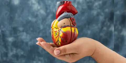 Scientists Discover Enzyme ‘Off Switch’ That Could Prevent Heart Disease and Diabetes